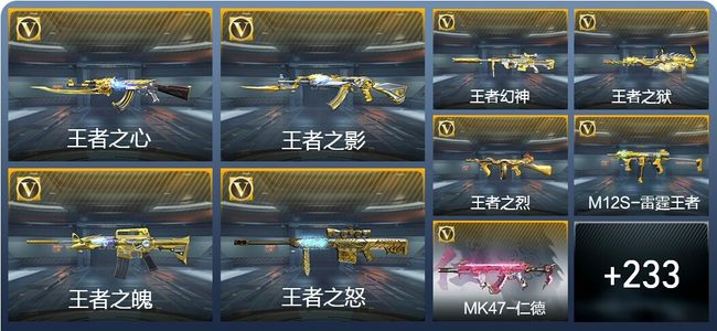 穿越火线：枪战王者V8 25王者武器 242英雄武器 8英雄角色 453万化 枪圣SSS