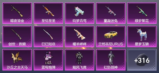 和平精英2载具 9升级枪 5粉装 6飞行器 197套装 86740热力 15印记