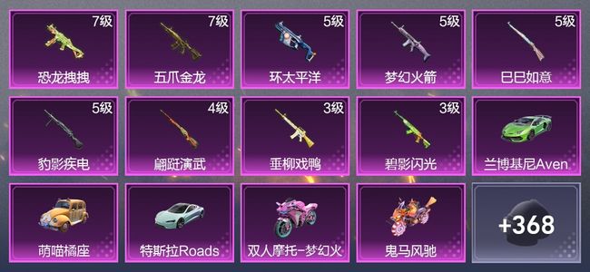 和平精英6载具 9升级枪 22粉装 198枪皮 170套装 85109热力 7印记 王牌