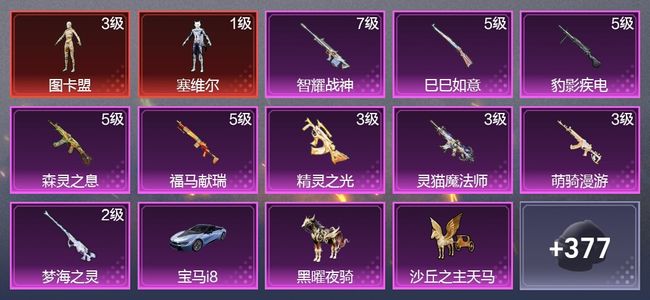 和平精英2载具 9升级枪 8粉装 220枪皮 155套装 75762热力 10印记 王牌