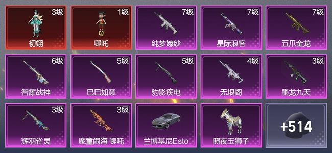 和平精英5载具 10升级枪 15粉装 298枪皮 202套装 10,8497热力 17印记 王牌
