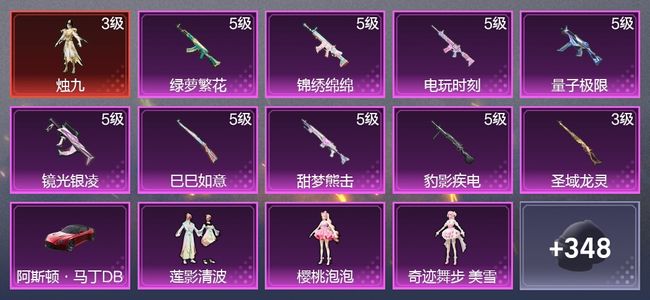 和平精英2载具 9升级枪 3粉装 222枪皮 150套装 6,6084热力 9印记 王牌