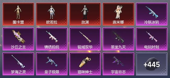 和平精英4载具 17升级枪 31粉装 0尾迹 195套装 94675热力 6印记