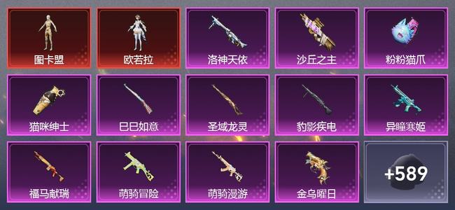 和平精英2载具 19升级枪 12粉装 19尾迹 252套装 131112热力 13印记