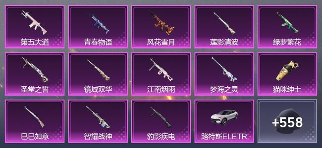和平精英5载具 13升级枪 25粉装 10尾迹 241套装 116340热力 15印记