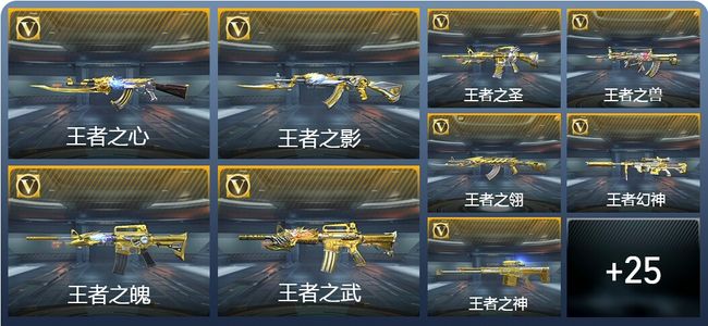 穿越火线：枪战王者V9 24王者武器 293英雄武器 1英雄角色 487万化 新锐