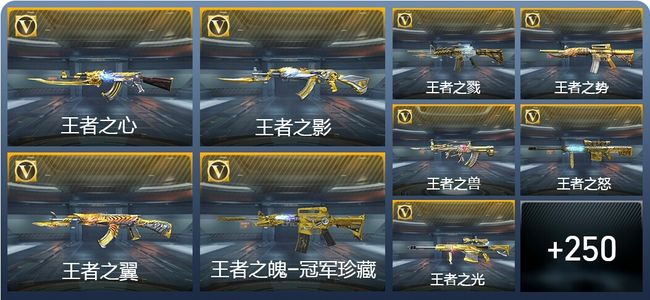 穿越火线：枪战王者V9 45王者武器 281英雄武器 1英雄角色 585万化 枪王