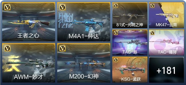 穿越火线：枪战王者V3 7王者武器 223英雄武器 1英雄角色 429万化 枪神