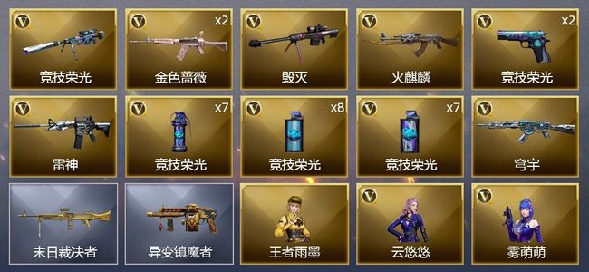 穿越火线（CF）31V武器 2V角色 9皮肤 可排位 专家