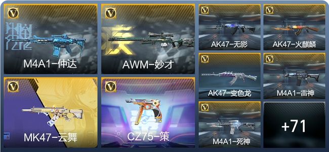 穿越火线:枪战王者V3 161英雄武器 新锐