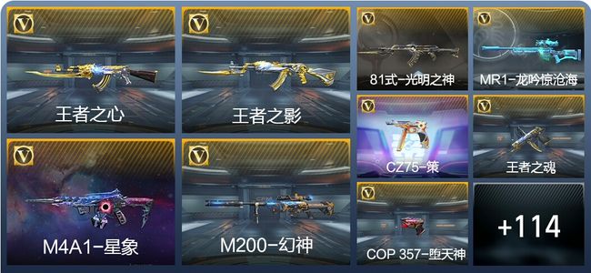 穿越火线：枪战王者V5 207英雄武器 新锐