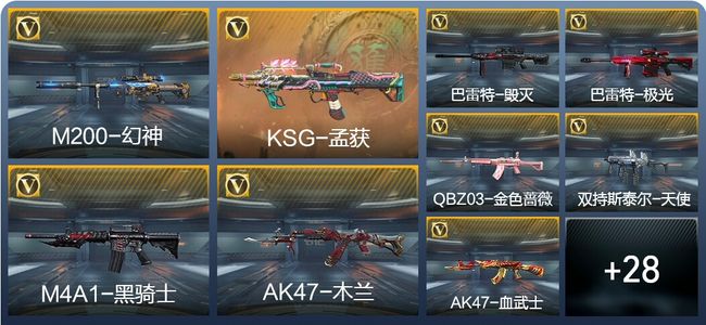 穿越火线：枪战王者V1 82英雄武器 新锐