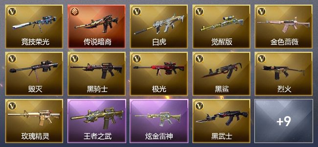 穿越火线（CF）1传说武器 2王者武器 1炫金武器 27V武器 6V角色 2皮肤 可排位