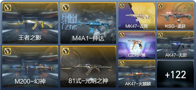 穿越火线：枪战王者V5 1王者武器 240英雄武器 新锐