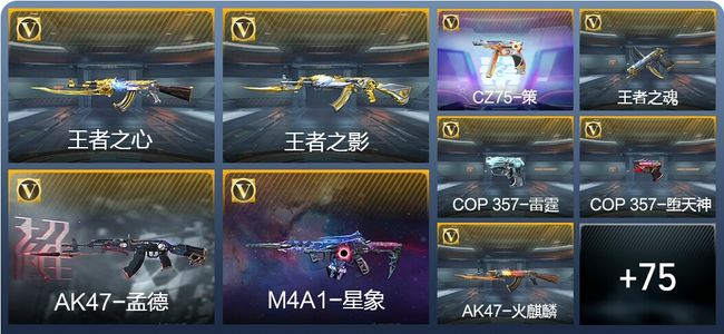 穿越火线：枪战王者V5 188英雄武器 新锐