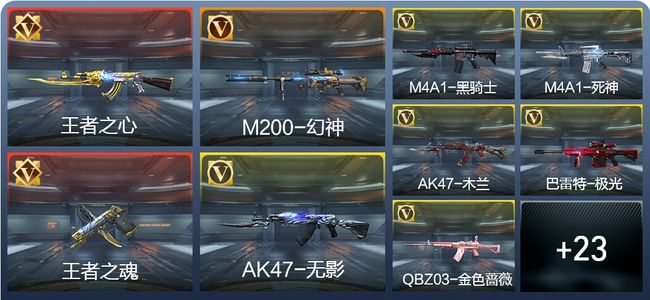 穿越火线：枪战王者V1 53英雄武器 新锐