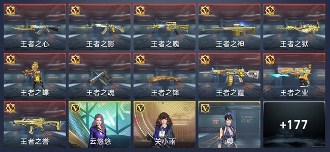 穿越火线：枪战王者V8 310英雄武器 新锐