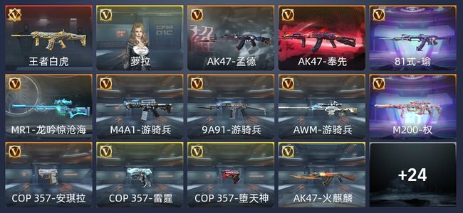 穿越火线：枪战王者V2 49英雄武器 新锐