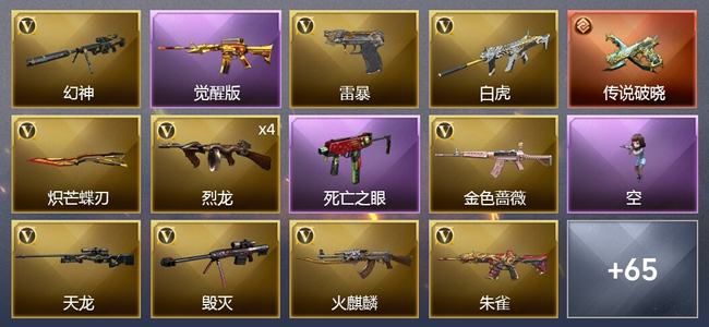 穿越火线（CF）1传说武器 6王者武器 2炫金武器 58V武器 3V角色 29皮肤 可排位 新锐