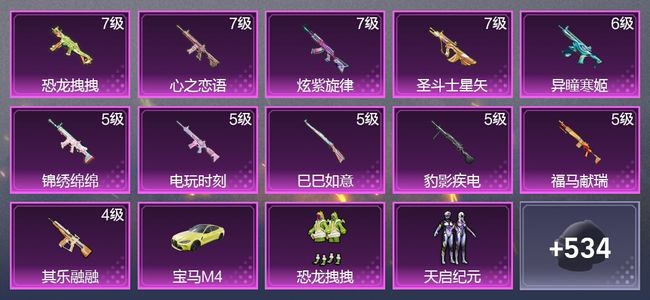 和平精英1载具 11升级枪 4粉装 2尾迹 328枪皮 243套装 100086热力 28印记 皇冠
