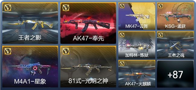 穿越火线：枪战王者V6 2王者武器 120英雄武器 2英雄角色 204万化 大师SS