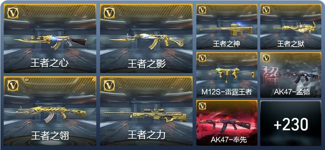 穿越火线：枪战王者V8 20王者武器 271英雄武器 4英雄角色 563万化 枪王SS