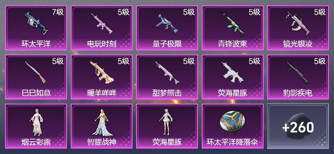 和平精英10升级枪 3粉装 1飞行器 151枪皮 109套装 49310热力 7印记 黄金