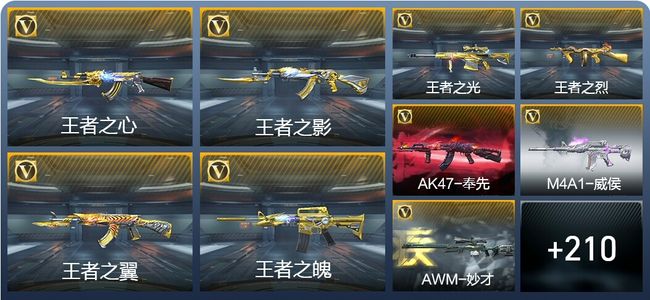 穿越火线：枪战王者13王者武器 219英雄武器 5英雄角色 388万化 枪王