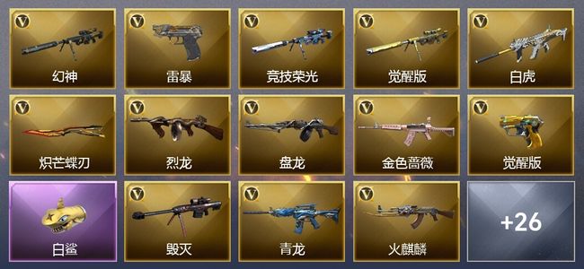 穿越火线（CF）9王者武器 1炫金武器 可排位 专家