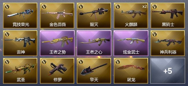 穿越火线（CF）2王者武器 1炫金武器 14V武器 4皮肤 可排位 新锐