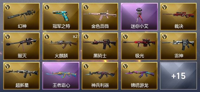 穿越火线（CF）3王者武器 22V武器 1V角色 12皮肤 可排位 新锐
