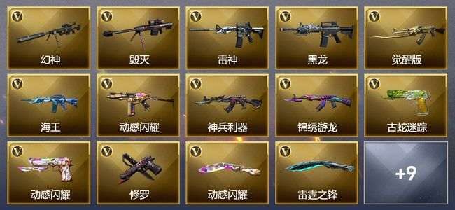 穿越火线（CF）22V武器 5皮肤 可排位 传奇