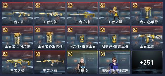 穿越火线：枪战王者V7 12王者 254英雄武器 11英雄角色 509万化 新锐