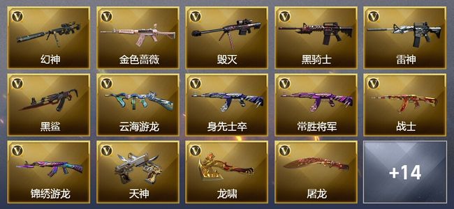 穿越火线（CF）23V武器 14皮肤 可排位 新锐