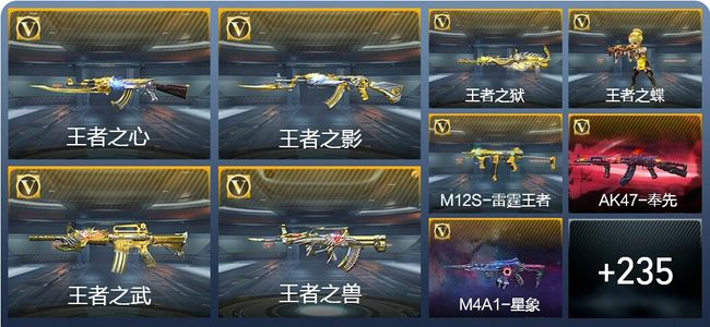 穿越火线：枪战王者V2 25王者武器 246英雄武器 10英雄角色 375万化 枪王SS