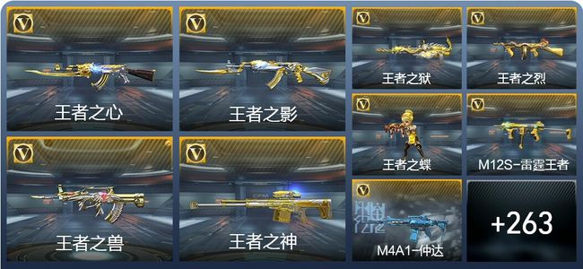 穿越火线：枪战王者V7 17王者武器 272英雄武器 10英雄角色 313万化 枪圣