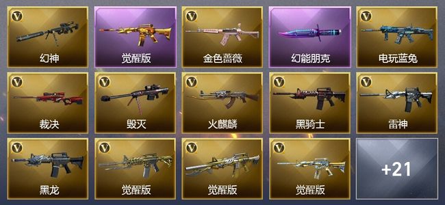 穿越火线（CF）4王者武器 1炫金武器 24V武器 10皮肤 可排位 宗师