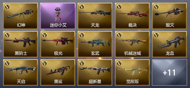 穿越火线（CF）20V武器 1V角色 4皮肤 可排位 新锐