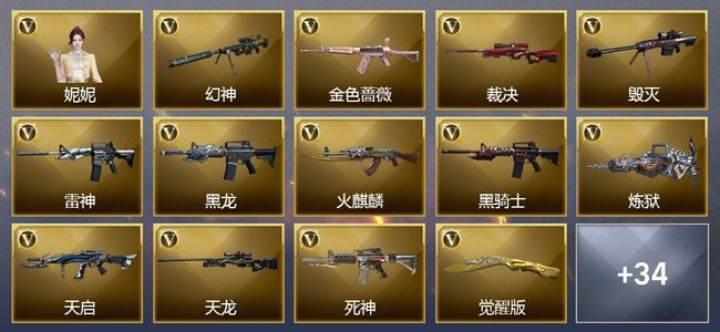 穿越火线（CF）1炫金武器 49V武器 1V角色 24皮肤 可排位 枪王