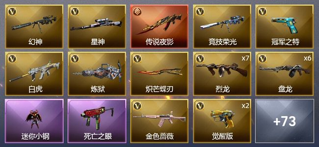 穿越火线（CF）2传说武器 10王者武器 2炫金武器 110V武器 4V角色 38皮肤 可排位