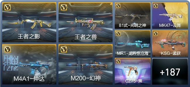 穿越火线：枪战王者V6 6王者武器 215英雄武器 6英雄角色 430万化 枪皇SS