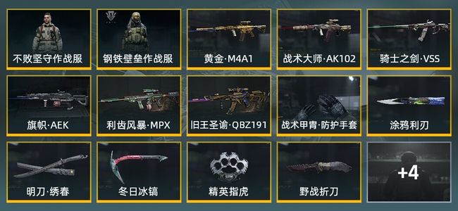 暗区突围库存价值208.5M 1手套 9近战武器 2金套装 6金枪皮 信誉5级 暗区传说