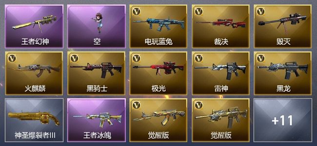 穿越火线（CF）2王者武器 17V武器 1V角色 14皮肤 可排位 传奇