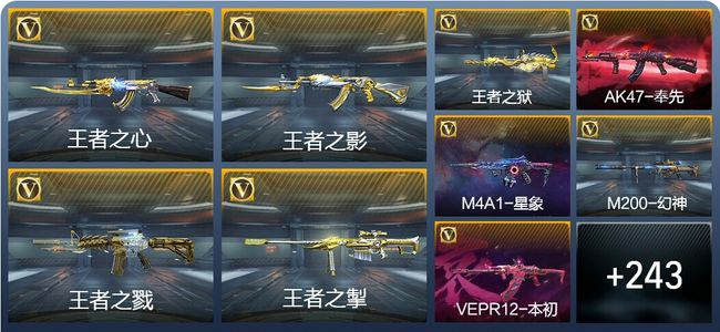 穿越火线：枪战王者V8 23王者武器 269英雄武器 11英雄角色 452万化 精英