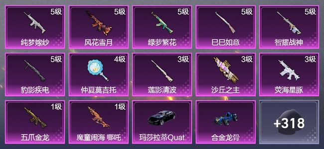 和平精英2载具 12升级枪 11粉装 2飞行器 185枪皮 139套装 70587热力 13印记