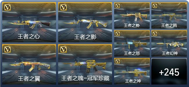 穿越火线：枪战王者V9 39王者武器 272英雄武器 9英雄角色 406万化 专家S