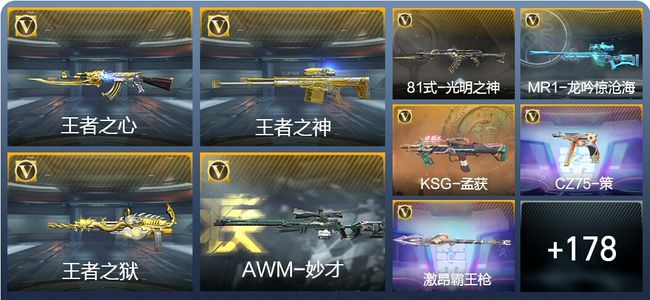 穿越火线：枪战王者6王者武器 187英雄武器 5英雄角色 300万化 专家S