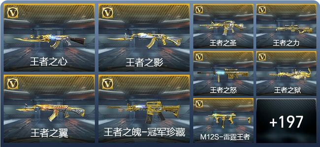 穿越火线：枪战王者V9 30王者武器 218英雄武器 大师