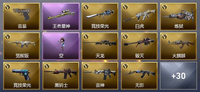 穿越火线（CF）3王者武器 2炫金武器 39V武器 3V角色 14皮肤 可排位 枪王