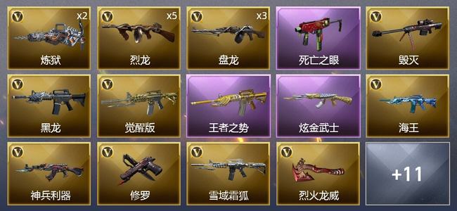 穿越火线（CF）1王者武器 1炫金武器 24V武器 5皮肤 可排位 新锐